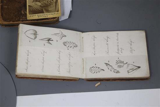 19th century Botanical studies,